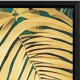 Cuadro lienzo loro 50x70cm