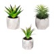 Cactus artificial decorativo de PVC en maceta de cemento 13x17cm