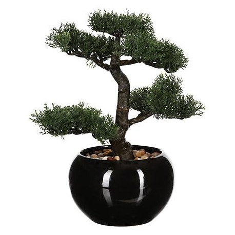 Bonsai 35cm con maceta negra