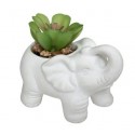 Planta con maceta elefante cemento