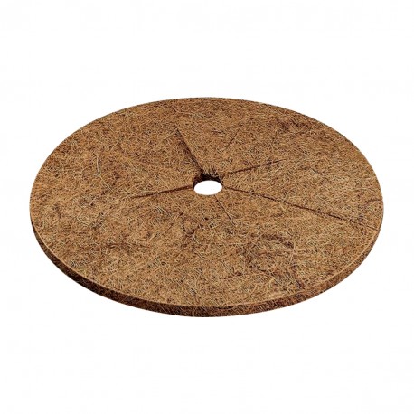 Disco coco 25cm 3uds