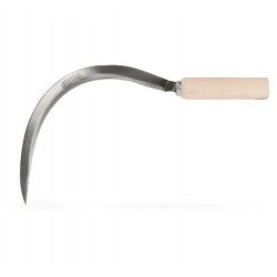Corvilla hierbera 30cm