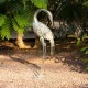 Figura decorativa jardín Garza de metal