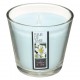 Vela perfumada flor de haiti con recipiente cristal