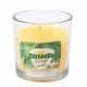 Vela de citronela con vaso de vidrio 7x8cm