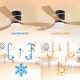 Ventilador de techo DC Ø132cm negro - madera Energy