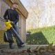 Soplador/aspirador 3300w
