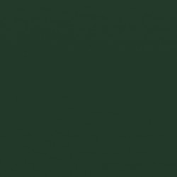 Lona toldo plegable 4x2,5m verde
