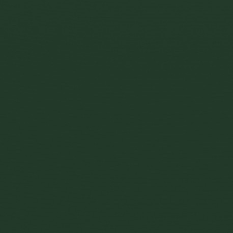 Lona toldo plegable 4x2,5m verde